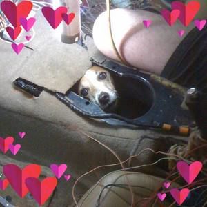 Meet your Posher, Sondra